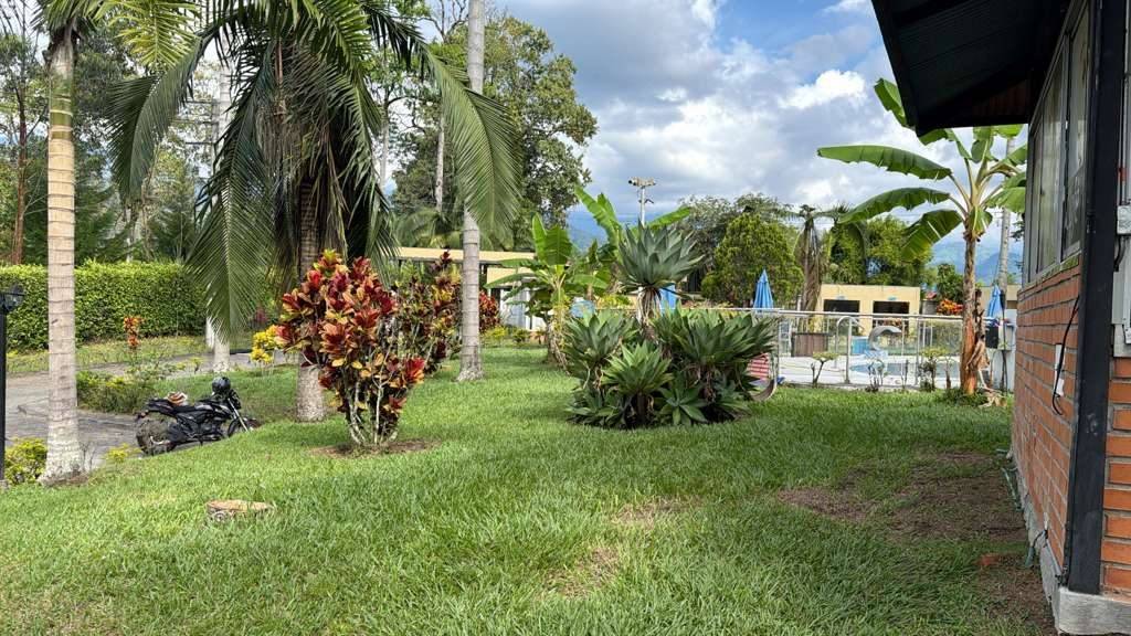 Jardines que deleitan