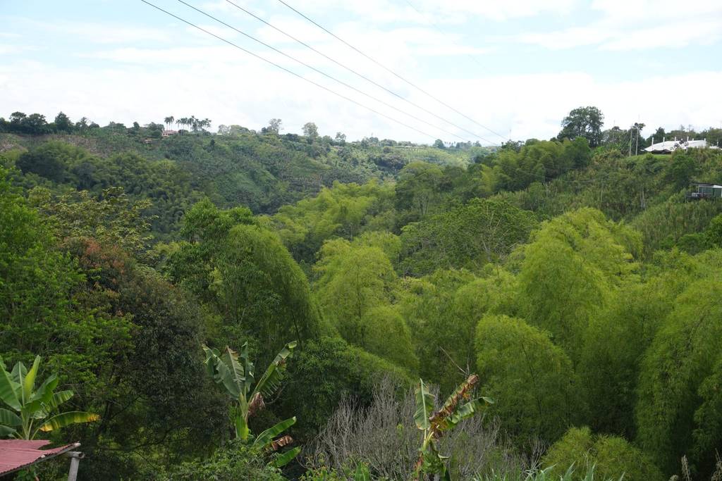 Sendero ecológico